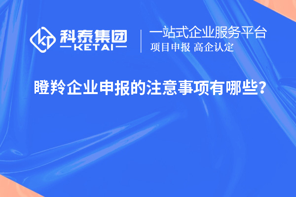 瞪羚企業申報的注意事項有哪些?