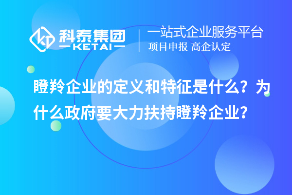 瞪羚企業的定義和特征是什么？為什么政府要大力扶持瞪羚企業？