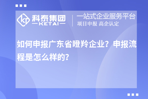 如何申報廣東省瞪羚企業(yè)?申報流程是怎么樣的?