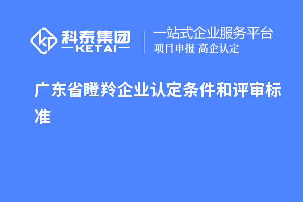 廣東省<a href=http://m.xjsygy.com/fuwu/dengling.html target=_blank class=infotextkey>瞪羚企業認定</a>條件和評審標準