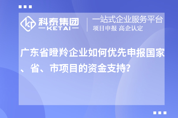 廣東省瞪羚企業(yè)如何優(yōu)先申報國家、省、市項目的資金支持?