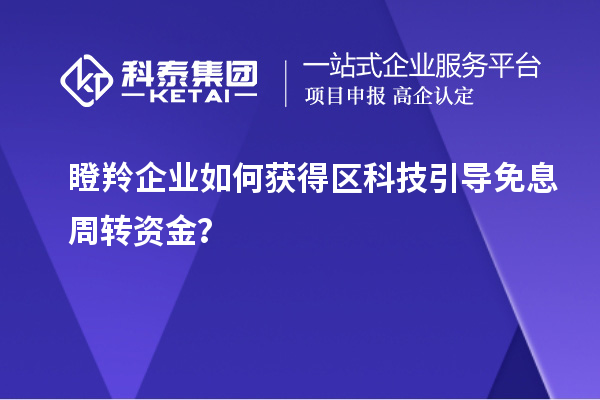 瞪羚企業(yè)如何獲得區(qū)科技引導(dǎo)免息周轉(zhuǎn)資金？