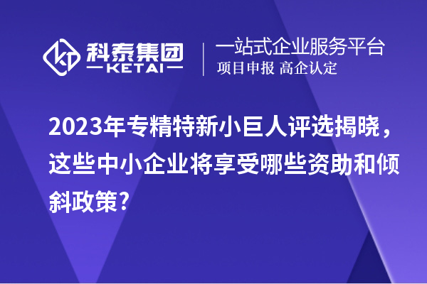 2023年專精特新小巨人評選揭曉,這些中小企業將享受哪些資助和傾斜政策?