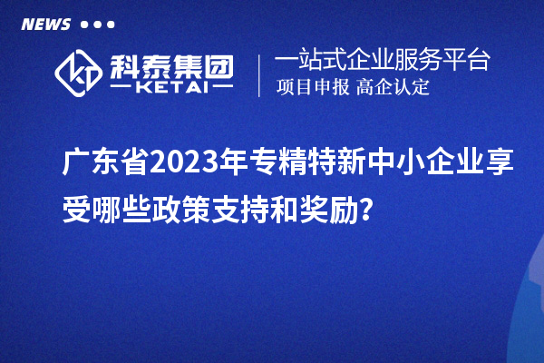 廣東省2023年專精特新中小企業享受哪些政策支持和獎勵?