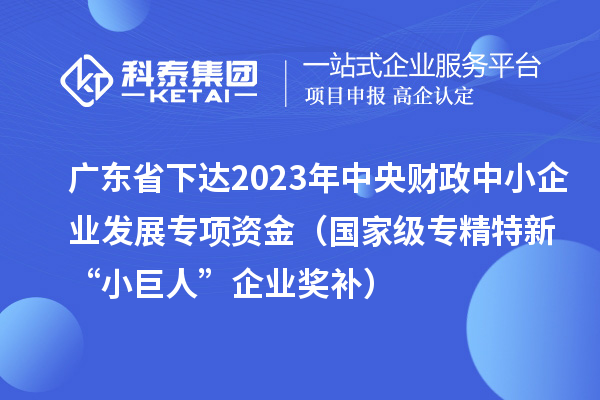 廣東省下達2023年中央財政中小企業發展專項資金(國家級專精特新“小巨人”企業獎補)