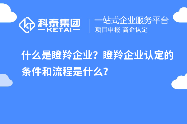什么是瞪羚企業(yè)？瞪羚企業(yè)認(rèn)定的條件和流程是什么？