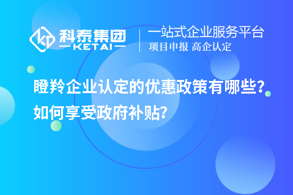 <a href=http://m.xjsygy.com/fuwu/dengling.html target=_blank class=infotextkey>瞪羚企業認定</a>的優惠政策有哪些?如何享受政府補貼?