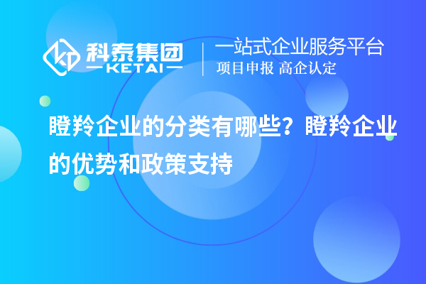 瞪羚企業的分類有哪些?瞪羚企業的優勢和政策支持