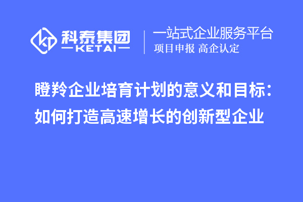 瞪羚企業培育計劃的意義和目標:如何打造高速增長的創新型企業