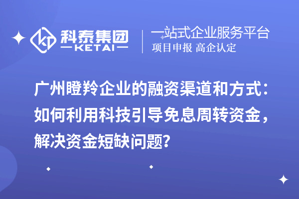廣州瞪羚企業的融資渠道和方式:如何利用科技引導免息周轉資金,解決資金短缺問題?