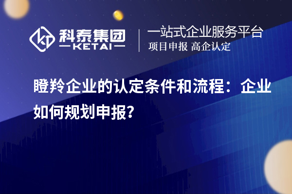 瞪羚企業的認定條件和流程:企業如何規劃申報?