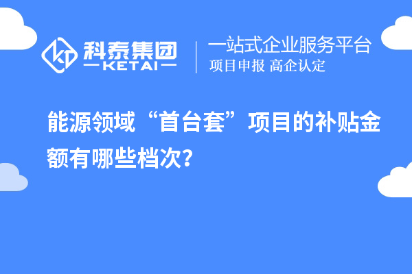 能源領域“首臺套”項目的補貼金額有哪些檔次？