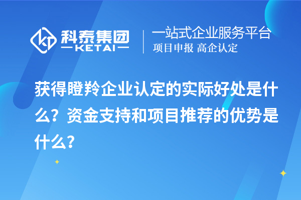 獲得瞪羚企業(yè)認(rèn)定的實(shí)際好處是什么?資金支持和項(xiàng)目推薦的優(yōu)勢(shì)是什么?