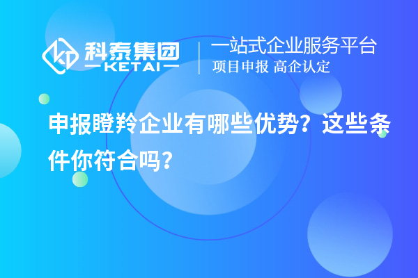 申報瞪羚企業(yè)有哪些優(yōu)勢？這些條件你符合嗎？