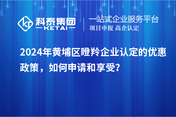 2024年黃埔區<a href=http://m.xjsygy.com/fuwu/dengling.html target=_blank class=infotextkey>瞪羚企業認定</a>的優惠政策,如何申請和享受?