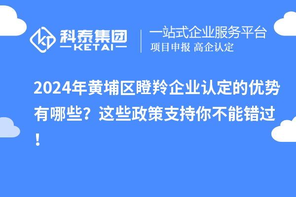 2024年黃埔區(qū)瞪羚企業(yè)認(rèn)定的優(yōu)勢有哪些?這些政策支持你不能錯過!