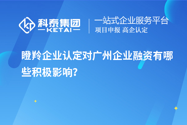 瞪羚企業認定對廣州企業融資有哪些積極影響？