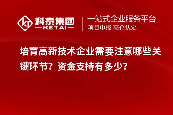 培育高新技術企業需要注意哪些關鍵環節？資金支持有多少？