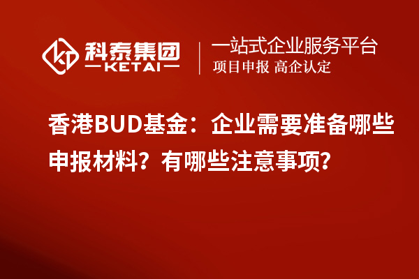 香港BUD基金：企業需要準備哪些申報材料？有哪些注意事項？