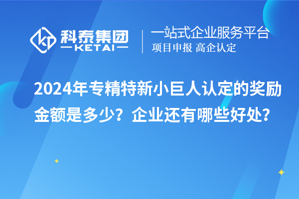 2024年專精特新小巨人認定的獎勵金額是多少？企業(yè)還有哪些好處？