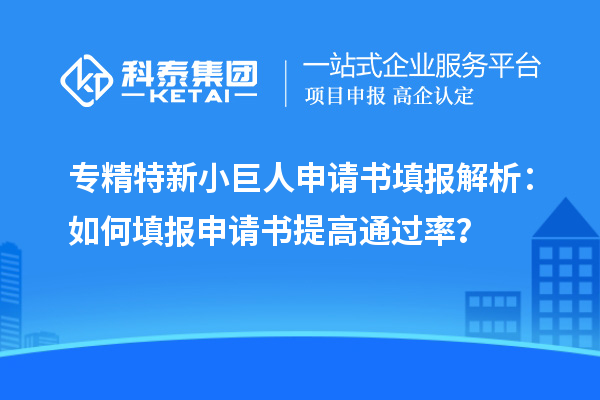 專精特新小巨人申請書填報解析：如何填報申請書提高通過率？