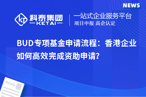 BUD專項基金申請流程：香港企業如何高效完成資助申請？