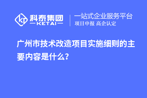 廣州市技術改造項目實施細則的主要內容是什么?