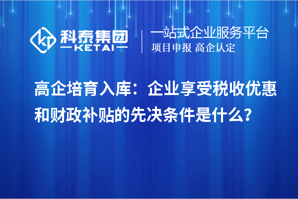 高企培育入庫：企業(yè)享受稅收優(yōu)惠和財(cái)政補(bǔ)貼的先決條件是什么？