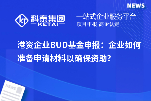 港資企業BUD基金申報：企業如何準備申請材料以確保資助？