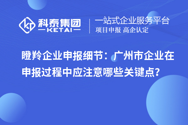 瞪羚企業(yè)申報細(xì)節(jié)：廣州市企業(yè)在申報過程中應(yīng)注意哪些關(guān)鍵點？