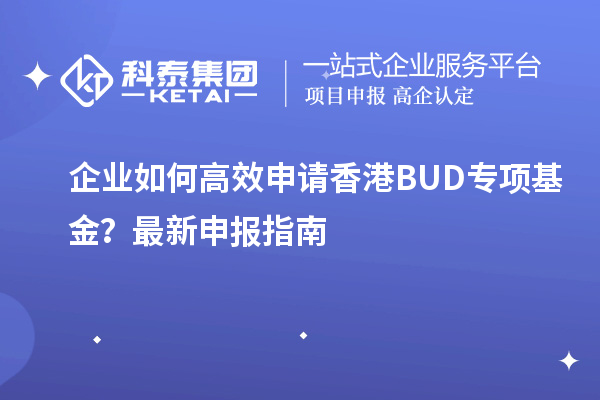 企業如何高效申請香港BUD專項基金？最新申報指南