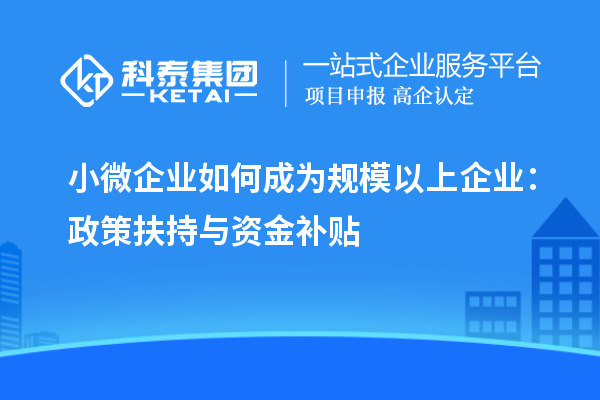 小微企業如何成為規模以上企業：政策扶持與資金補貼