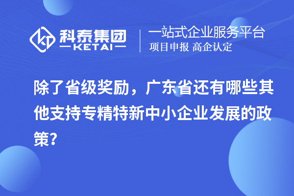 除了省級(jí)獎(jiǎng)勵(lì),廣東省還有哪些其他支持專精特新中小企業(yè)發(fā)展的政策?
