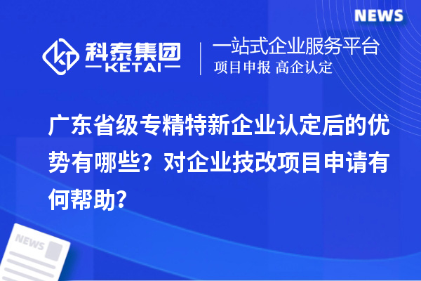 廣東省級專精特新企業認定后的優勢有哪些?對企業技改項目申請有何幫助?