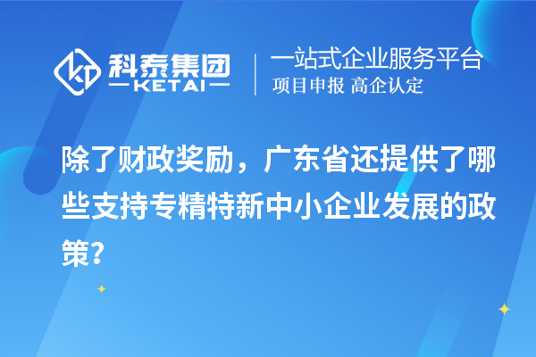 除了財政獎勵，廣東省還提供了哪些支持專精特新中小企業(yè)發(fā)展的政策？