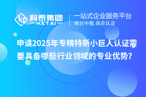 申請2025年專精特新小巨人認證需要具備哪些行業領域的專業優勢?