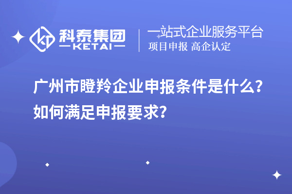 廣州市瞪羚企業(yè)申報條件是什么？如何滿足申報要求？