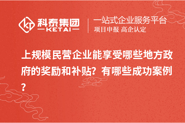 上規模民營企業能享受哪些地方政府的獎勵和補貼？有哪些成功案例？