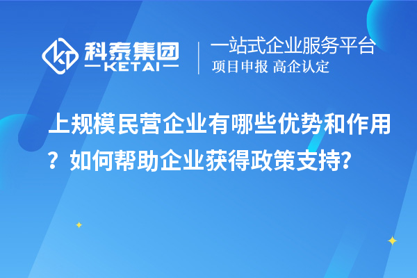 上規(guī)模民營企業(yè)有哪些優(yōu)勢和作用？如何幫助企業(yè)獲得政策支持？