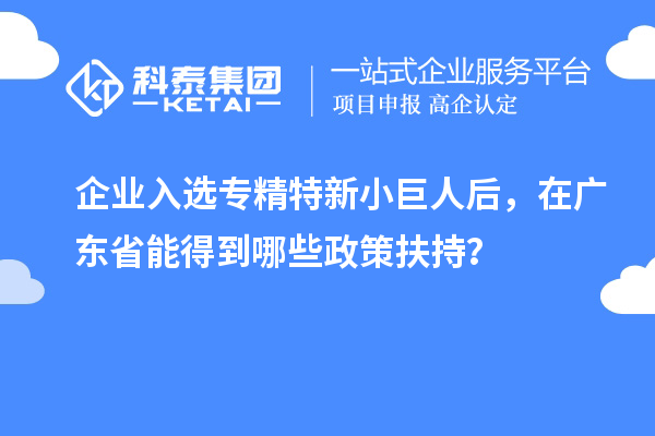 企業(yè)入選專(zhuān)精特新小巨人后,在廣東省能得到哪些政策扶持?