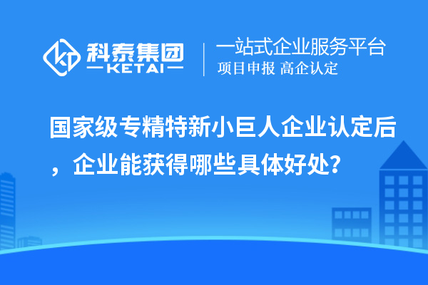 國家級專精特新小巨人企業(yè)認定后,企業(yè)能獲得哪些具體好處?