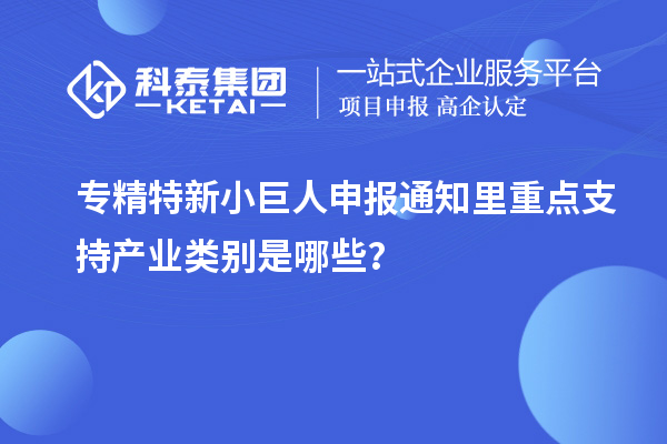 <a href=http://m.xjsygy.com/fuwu/zhuanjingtexin.html target=_blank class=infotextkey>專精特新小巨人申報</a>通知里重點支持產業類別是哪些？