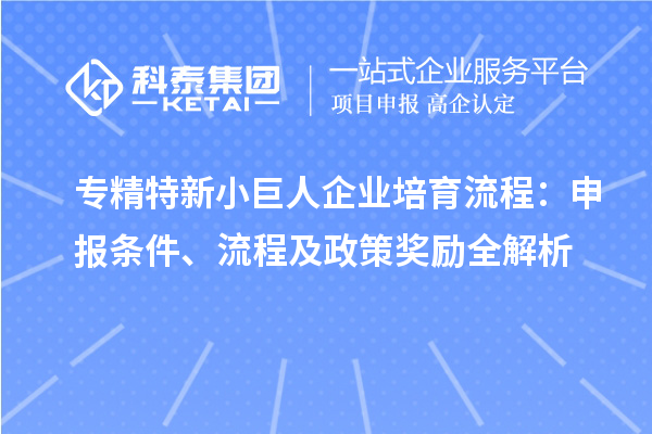 專精特新小巨人企業(yè)培育流程：申報條件、流程及政策獎勵全解析
