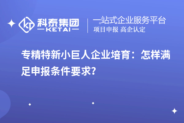 專精特新小巨人企業培育：怎樣滿足申報條件要求？