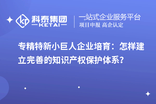 專精特新小巨人企業培育：怎樣建立完善的知識產權保護體系？