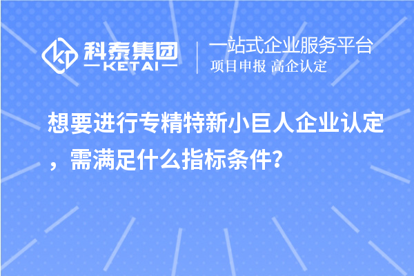 想要進(jìn)行專精特新小巨人企業(yè)認(rèn)定，需滿足什么指標(biāo)條件？