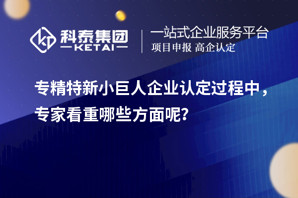 專精特新小巨人企業(yè)認定過程中,專家看重哪些方面呢?