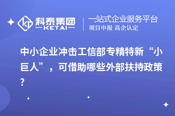 中小企業(yè)沖擊工信部專精特新 “小巨人”，可借助哪些外部扶持政策?