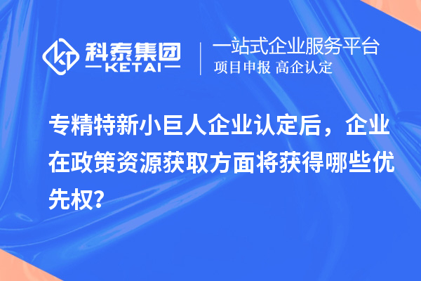專精特新小巨人企業(yè)認(rèn)定后，企業(yè)在政策資源獲取方面將獲得哪些優(yōu)先權(quán)？