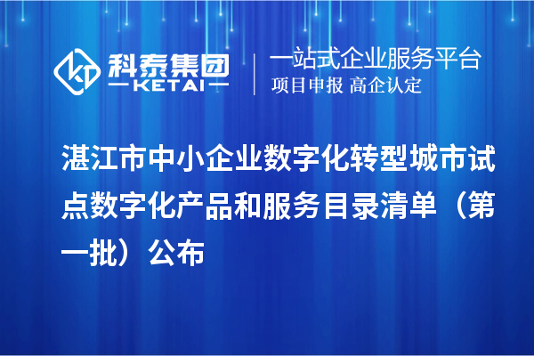 湛江市中小企業數字化轉型城市試點數字化產品和服務目錄清單(第一批)公布